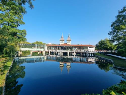 campery asone - WhatsApp Image 2021-11-04 at 13.11.26